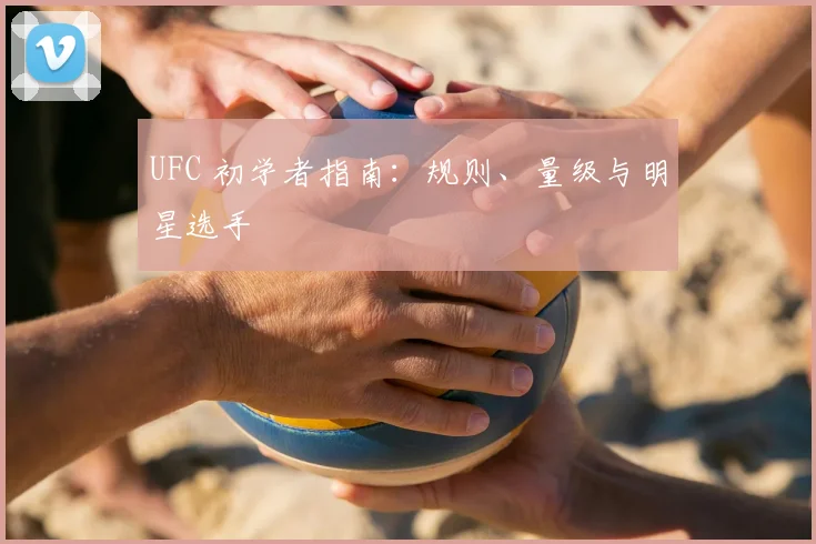 UFC 初学者指南:规则、量级与明星选手