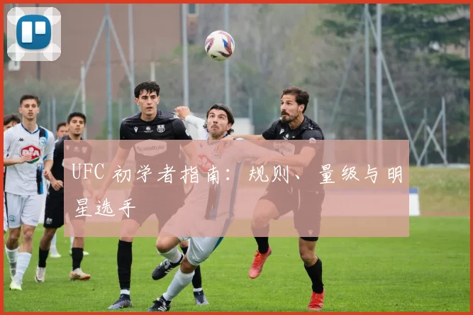 UFC 初学者指南：规则、量级与明星选手